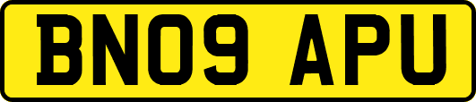BN09APU
