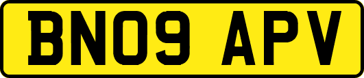 BN09APV