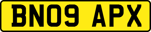 BN09APX