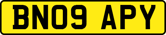 BN09APY