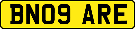 BN09ARE