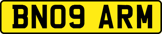BN09ARM
