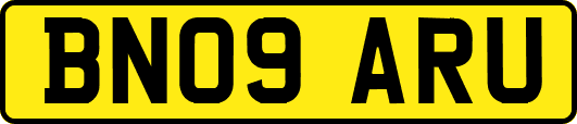 BN09ARU