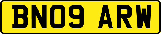 BN09ARW