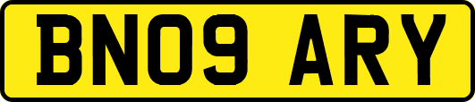 BN09ARY