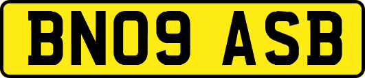 BN09ASB