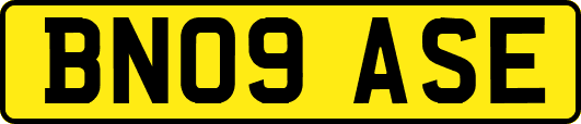 BN09ASE