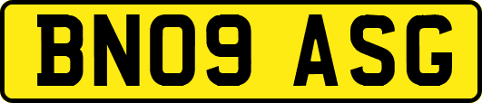 BN09ASG