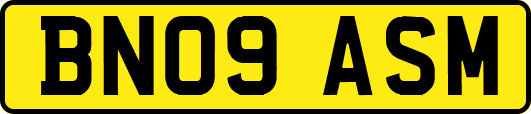 BN09ASM