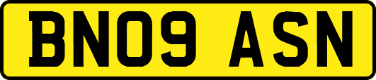 BN09ASN