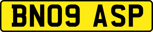 BN09ASP