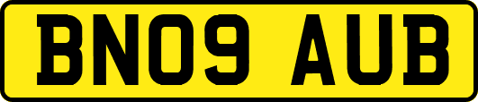 BN09AUB
