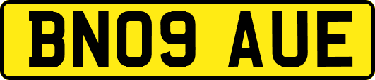 BN09AUE