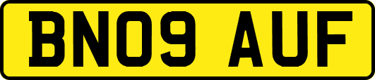 BN09AUF