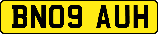 BN09AUH