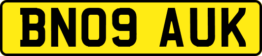 BN09AUK