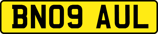 BN09AUL