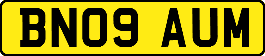 BN09AUM
