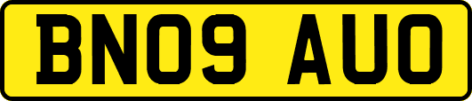BN09AUO