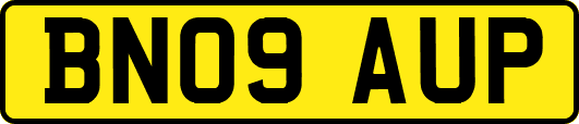 BN09AUP