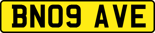 BN09AVE