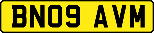BN09AVM