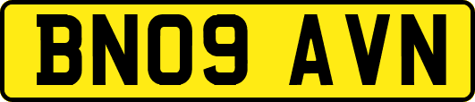 BN09AVN