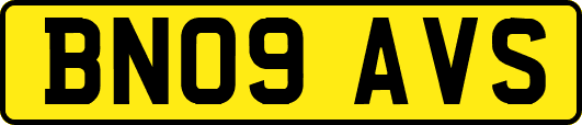 BN09AVS