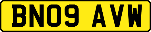 BN09AVW