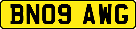 BN09AWG