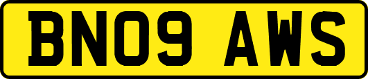 BN09AWS