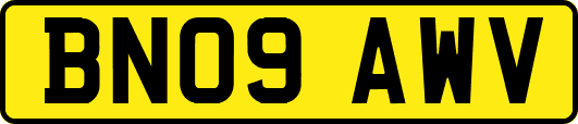 BN09AWV