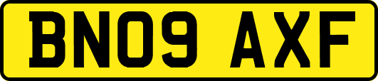 BN09AXF