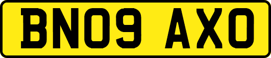 BN09AXO