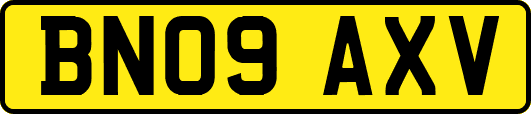 BN09AXV