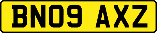 BN09AXZ