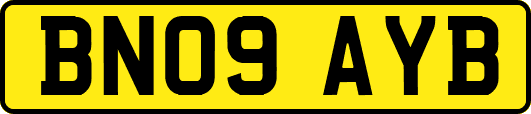 BN09AYB
