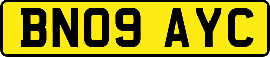 BN09AYC