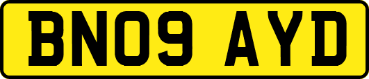 BN09AYD