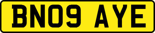 BN09AYE