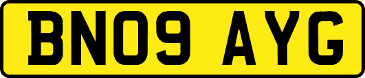 BN09AYG