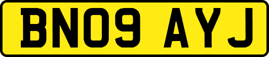 BN09AYJ
