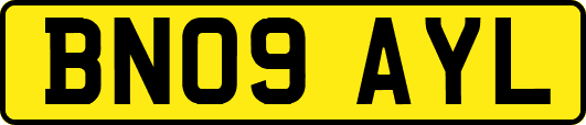 BN09AYL