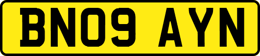 BN09AYN