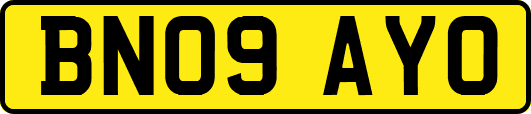 BN09AYO