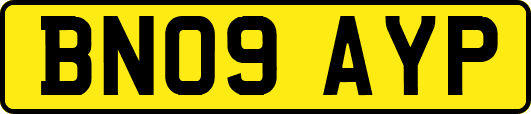 BN09AYP
