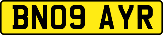 BN09AYR