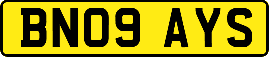 BN09AYS