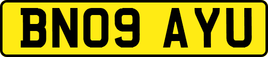 BN09AYU