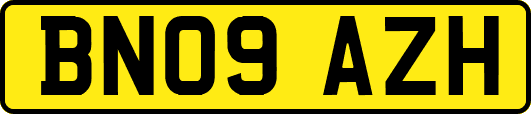 BN09AZH